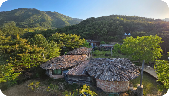 숲에 자리한 민박동 전경