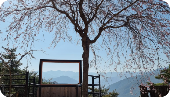 전망대에서 바라본 지리산